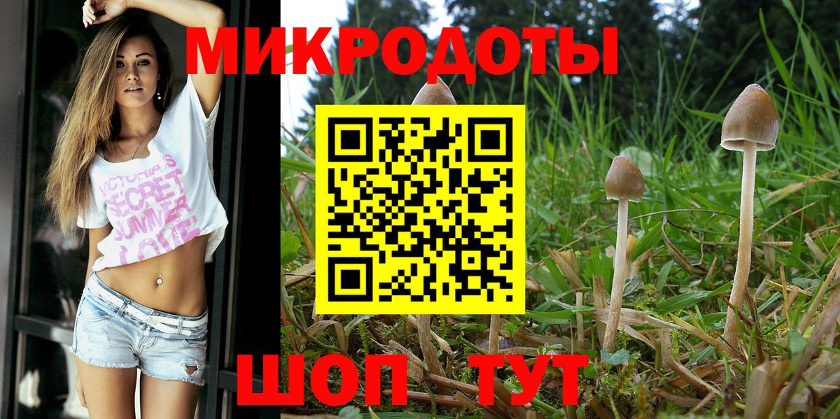 Галлюциногенные грибы Cubensis Мытищи
