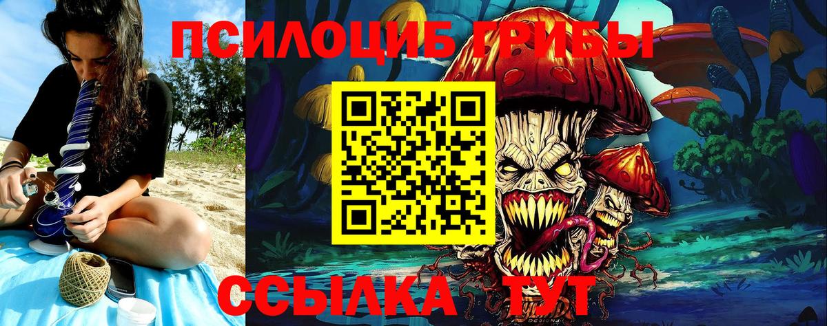 купить наркотик  Вход с VPN  Мытищи  Галлюциногенные грибы Psilocybe 