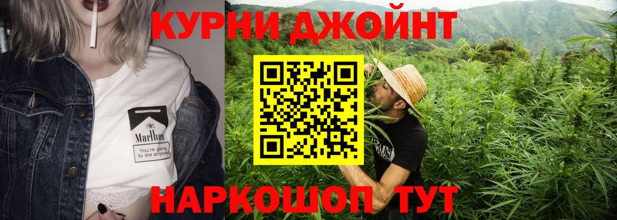 Шишки марихуана ГИДРОПОН  Марихуана White Widow  Мытищи  Бошки Шишки тримм  Вход с VPN  Канабис план 